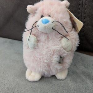 My Blue nose friends paws